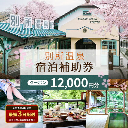 旅行 長野 信州 別所温泉 宿泊 補助券 4枚セット 12,000円 温泉 旅館 旅行券 宿泊券 施設利用券 利用券 トラベル チケット ホテル券 ホテルクーポン ホテル 長野県　【旅行・温泉・チケット・温泉利用券】