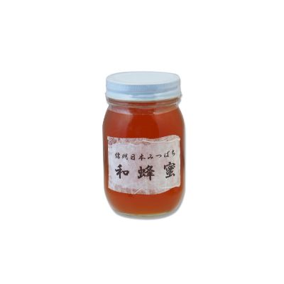 【ふるさと納税】信州日本みつばち 和蜂蜜（600g）　【 ハ