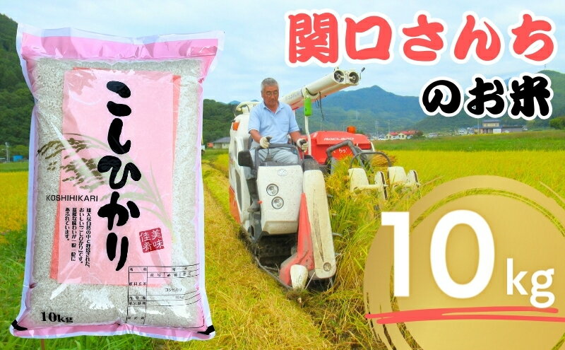 【ふるさと納税】米 令和5年 関口さんちのお米 コシヒカリ 10kg お米 こめ コメ 精米 白米 ご飯 こしひかり 長野 信州　【 上田市 】