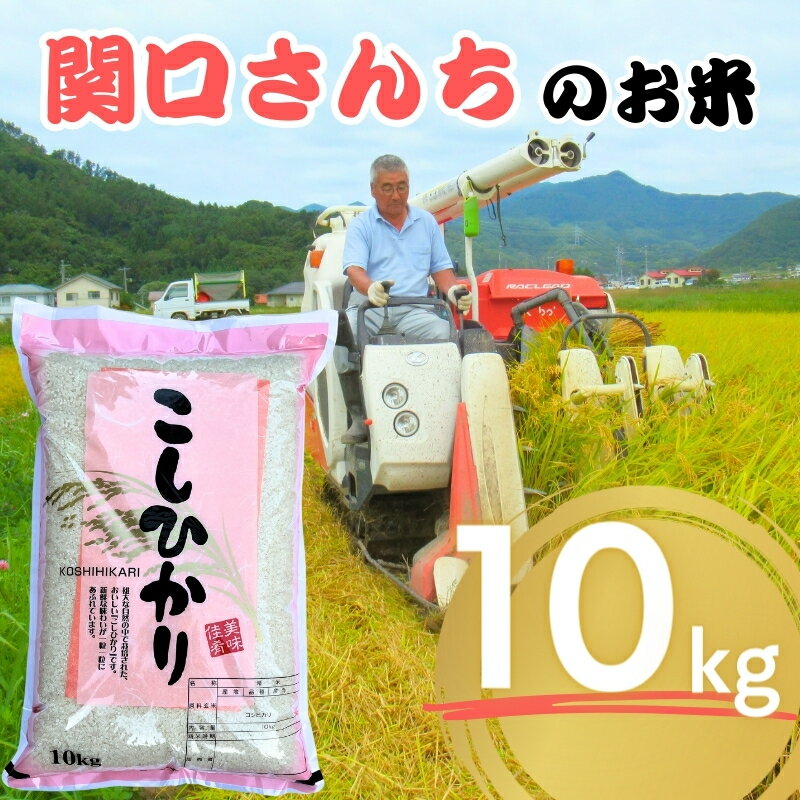 33位! 口コミ数「3件」評価「4.67」米 令和5年 関口さんちのお米 コシヒカリ 10kg お米 こめ コメ 精米 白米 ご飯 こしひかり 長野 信州　【 上田市 】