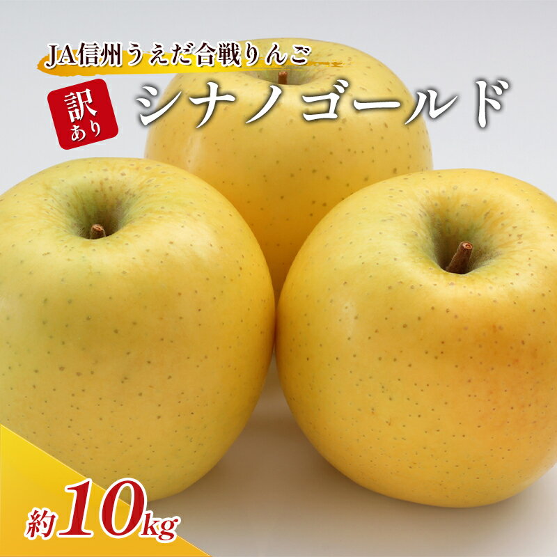 【ふるさと納税】訳あり りんご JA信州うえだ 合戦りんご シナノゴールド 約10kg リンゴ 林檎 果物 くだもの フルー…