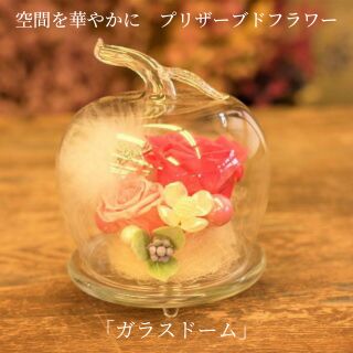 空間を華やかに プリザーブドフラワー「ガラスドーム」 [ 植物 お花 インテリア 雑貨 かわいい おしゃれ 鮮やか きれい 癒し 枯れない 水やり不要 玄関 リビング 机上 置物 ]