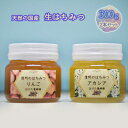 【ふるさと納税】国産生はちみつ アカシア・リンゴ300g 2本セット