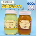 【ふるさと納税】国産生はちみつ アカシア クリ 600g 2本セット 蜂蜜 食べ比べ 上田市 長野県 【 ハニー 非加熱 国産ハチミツ あっさり 食べやすい 苦味 独特な香り ほろ苦い 】