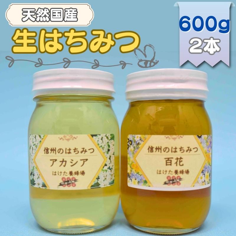 【ふるさと納税】国産生はちみつ　アカシア・百花　600g 2