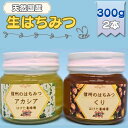 【ふるさと納税】国産 生はちみつ 300g 2本セット アカシア くり セット 詰め合わせ 国産はちみつ 国産ハチミツ 天然蜂蜜 はちみつ 蜂蜜 ハニー 天然国...