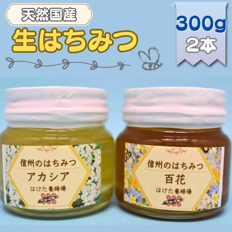 【ふるさと納税】国産生はちみつ　アカシア・百花　300g 2