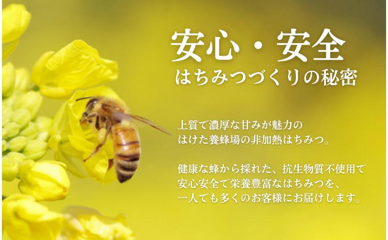 長野県上田市の【ふるさと納税】【寄附額改定】国産 生はちみつ 300g 2本セット くり ソバ セット 詰め合わせ 国産はちみつ 国産ハチミツ 天然蜂蜜 はちみつ 蜂蜜 ハニー 天然国産 非加熱 食べ比べ 食べ比べセット 信州産 長野県産 信州 長野 長野県 上田市｜アングル3