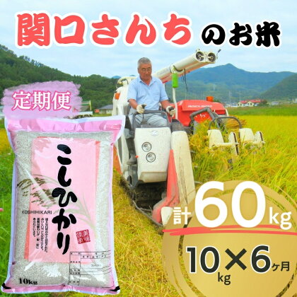 米 定期便 6ヶ月 令和5年 関口さんちのお米 コシヒカリ 10kg お米 こめ コメ 精米 白米 ご飯 こしひかり 長野 信州 6回 半年 お楽しみ　【定期便・ 上田市 】