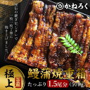 18位! 口コミ数「0件」評価「0」鰻蒲焼重箱「極上」 山椒・漬物付き　ギフト ウナギ 鰻 蒲焼 国産 国内産 プレゼント 誕生日 お歳暮 上田市 コシヒカリ グルメ 贅沢　【･･･ 