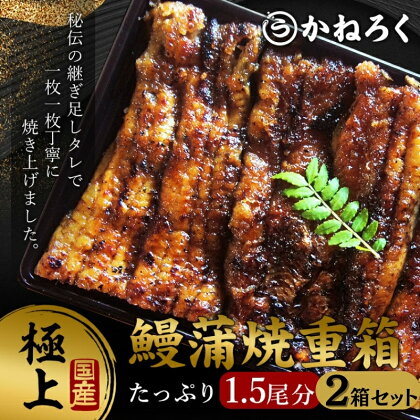 鰻蒲焼重箱「極上」2個セット 山椒・漬物付き　ギフト ウナギ 鰻 蒲焼 国産 国内産 プレゼント 誕生日 お歳暮 上田市 コシヒカリ グルメ 贅沢　【 魚料理 和食 日本食 】