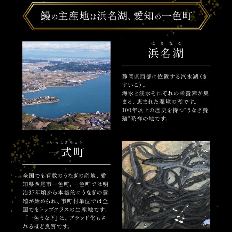 【ふるさと納税】鰻蒲焼重箱「特上」2個セット 山椒・漬物付き　ギフト ウナギ 鰻 蒲焼 国産 国内産 プレゼント 誕生日 お歳暮 上田市 コシヒカリ グルメ 贅沢 f202037-ueda-10001777 長野県上田市 サンプル画像3