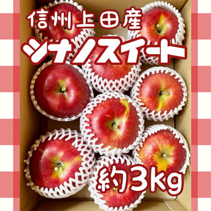 信州上田産 シナノスイート 約3kg　【 果物 フルーツ りんご 旬の果物 旬のフルーツ 優しい甘さ 】　お届け：2024年10月中旬～10月下旬