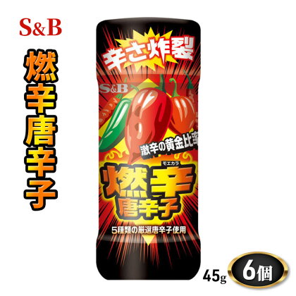 S＆B 燃辛唐辛子 1セット（6個） エスビー食品　【上田市】