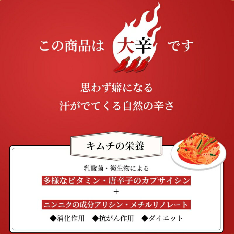 【ふるさと納税】【定期便】12ヵ月連続でお届け！辛党におすすめ！切れてる大辛キムチ 3kg 国産 白菜キムチ 国産 長野県 韓国屋 信州韓国屋 新鮮 健康 発酵食品 おつまみ おかず ご飯のお供 お酒のお供 韓国 白菜 キムチ