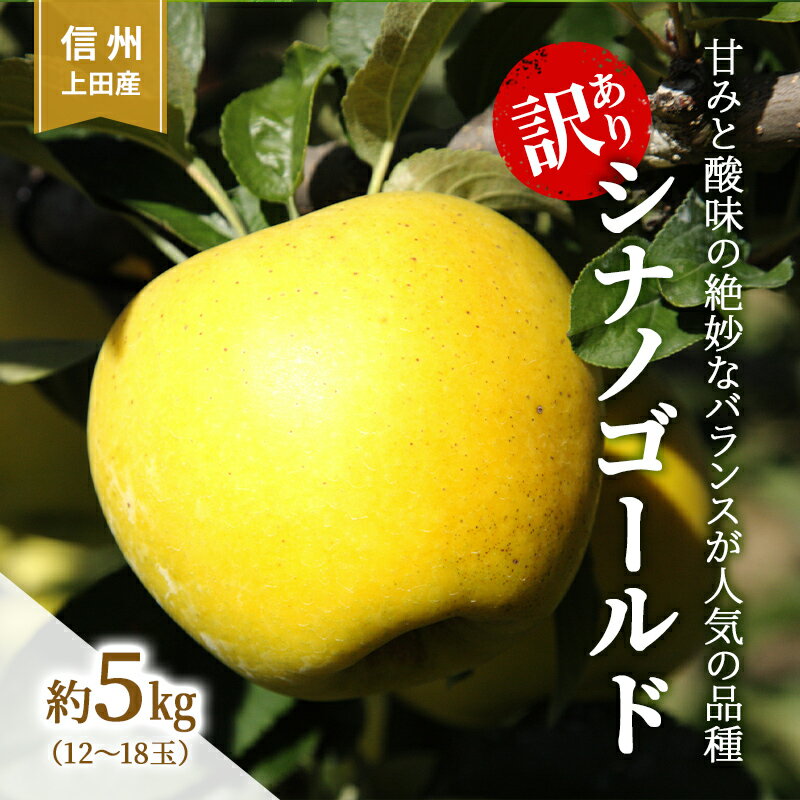 訳アリ シナノゴールド約5kg(12〜18玉) [上田市] お届け:2024年10月中旬〜10月下旬まで