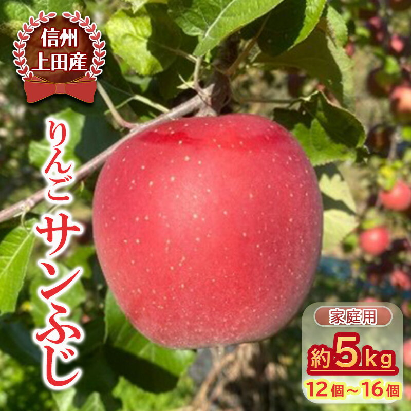 【ふるさと納税】【信州上田産】りんご サンふじ 家庭用 約5kg（12個～16個）　【上田市】　お届け：20..