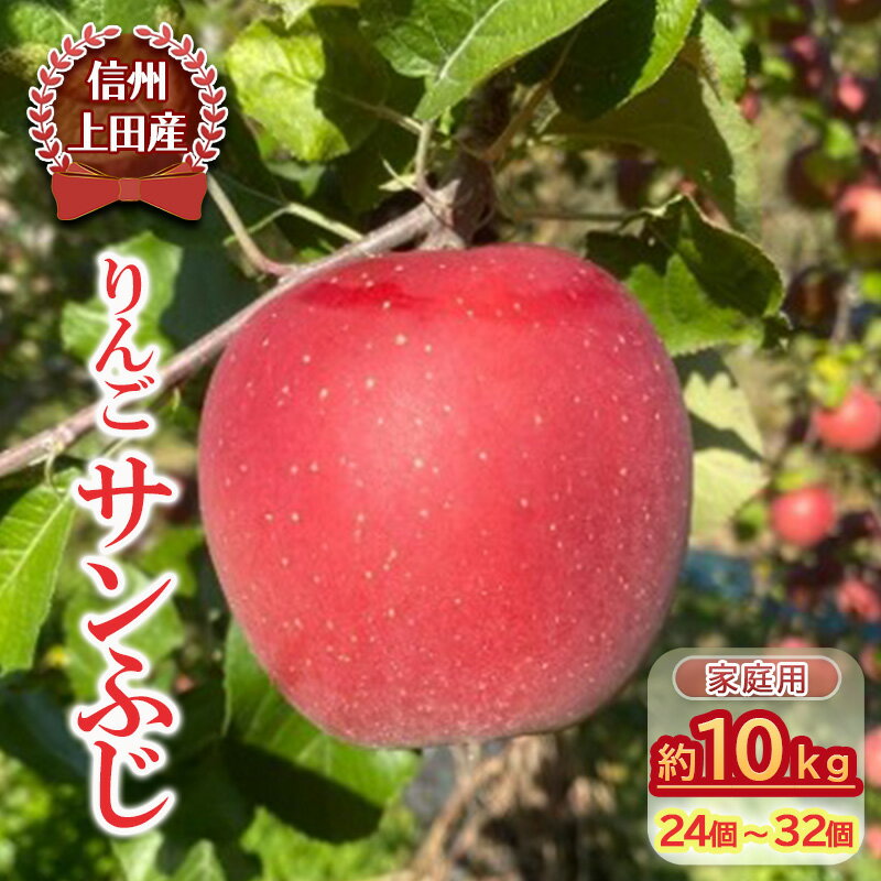 【ふるさと納税】【信州上田産】りんご サンふじ 家庭用 約10kg（24個～32個）　【上田市】　お届け：2..