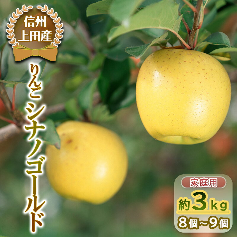 【ふるさと納税】りんご 信州上田産 シナノゴールド 家庭用 約3kg 8～9個 林檎 リンゴ 3kg しなのゴールド 果物 くだもの フルーツ デザート 旬の果物 旬のフルーツ 傷 長野県 長野　 上田市 　お届け：2024年10月下旬～11月中旬のサムネイル