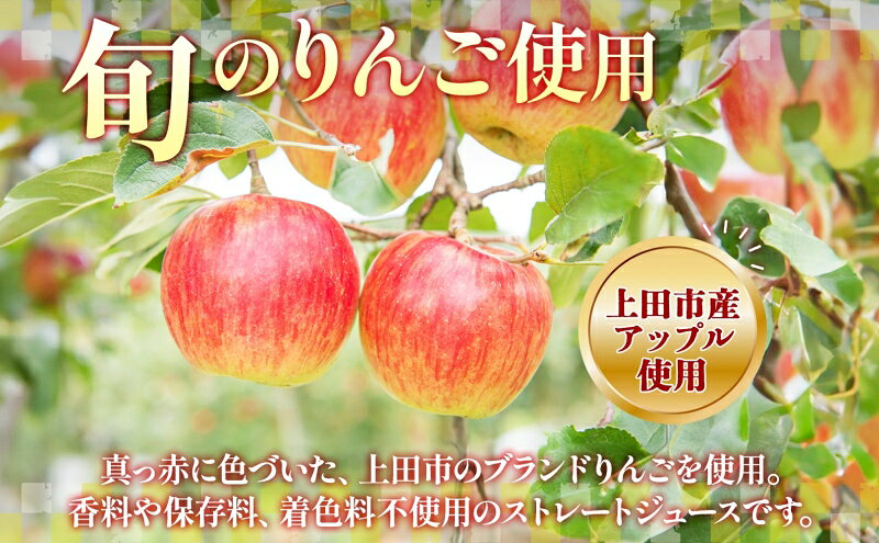 【ふるさと納税】 無地熨斗 長野県 真田 RED アップル ジュース 瓶 1000ml 1本 飲料 果汁 100% フルーツ リンゴ 果物 りんご 林檎 無香料 無着色 ストレート にごり 旬 贅沢 戦国武将 ギフト お取り寄せ 信州 まちづくり上田 送料無料 長野県 上田 f202037-ueda-10001994 長野県上田市 サンプル画像3