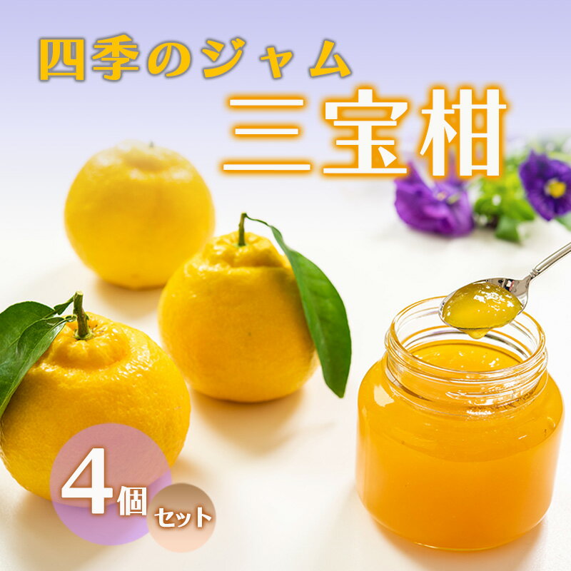 【ふるさと納税】ジャム 長野 四季のジャム 三宝柑 4個 セット 飯島商店 みかんジャム みかん 柑橘 朝ごはん 朝食 パン フルーツ 果物 デザート スイーツ ギフト プレゼント 贈答 贈り物 調味料 加工食品 ミカンジャム ミカン 蜜柑 長野県 上田市 上田