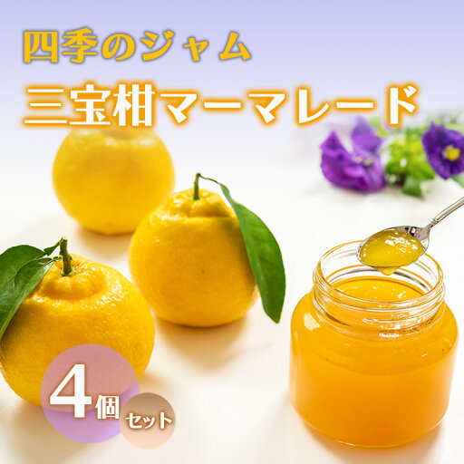 【ふるさと納税】ジャム 長野 四季のジャム 三宝柑 マーマレード 4個 セット 飯島商店 スライスした皮入り みかんジャム みかん 柑橘 朝ごはん 朝食 パン フルーツ 果物 デザート スイーツ ギフト プレゼント 贈答 贈り物 調味料 長野県 上田市 上田 【ふるさと納税】ジャム 長野 四季のジャム 三宝柑 マーマレード 4個 セット 飯島商店 スライスした皮入り みかんジャム みかん 柑橘 朝ごはん 朝食 パン フルーツ 果物 デザート スイーツ ギフト プレゼント 贈答 贈り物 調味料 長野県 上田市 上田