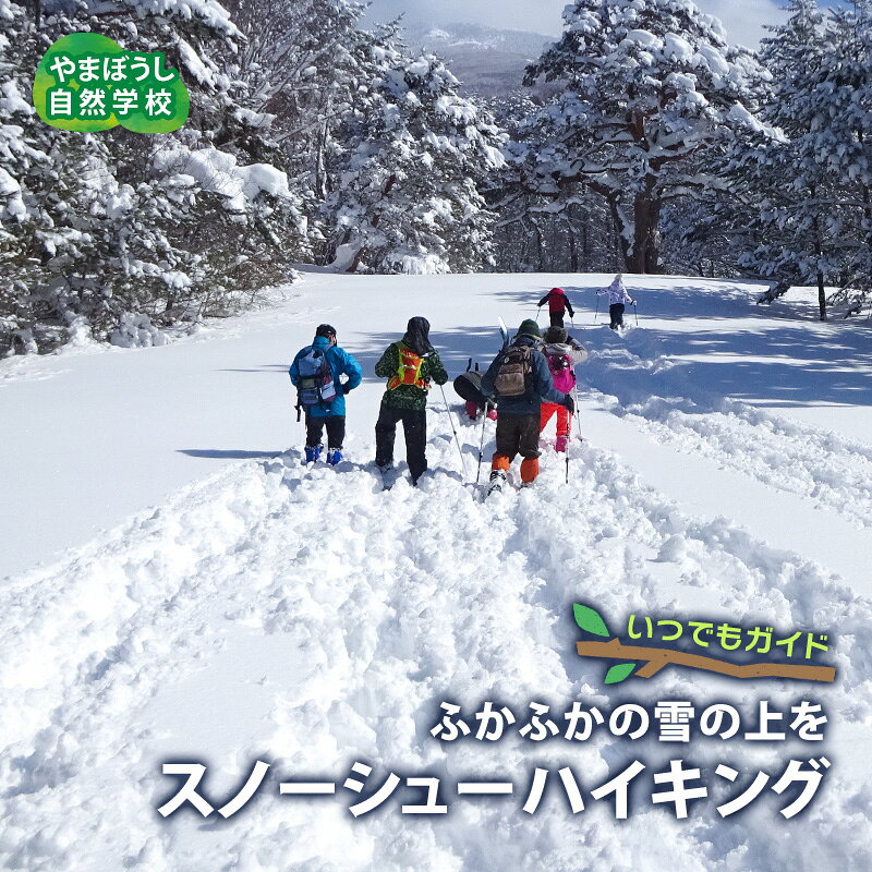 いつでもガイド スノーシューハイキング お届け：2025年1月上旬～3月下旬まで