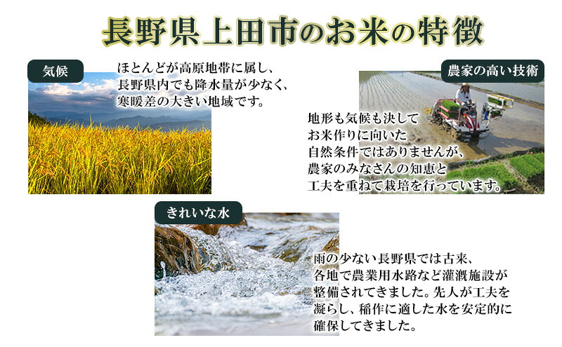 【ふるさと納税】米 令和7年産 長野 風さやか 内容量選べる 5kg 2kg×3個 10kg 小分...