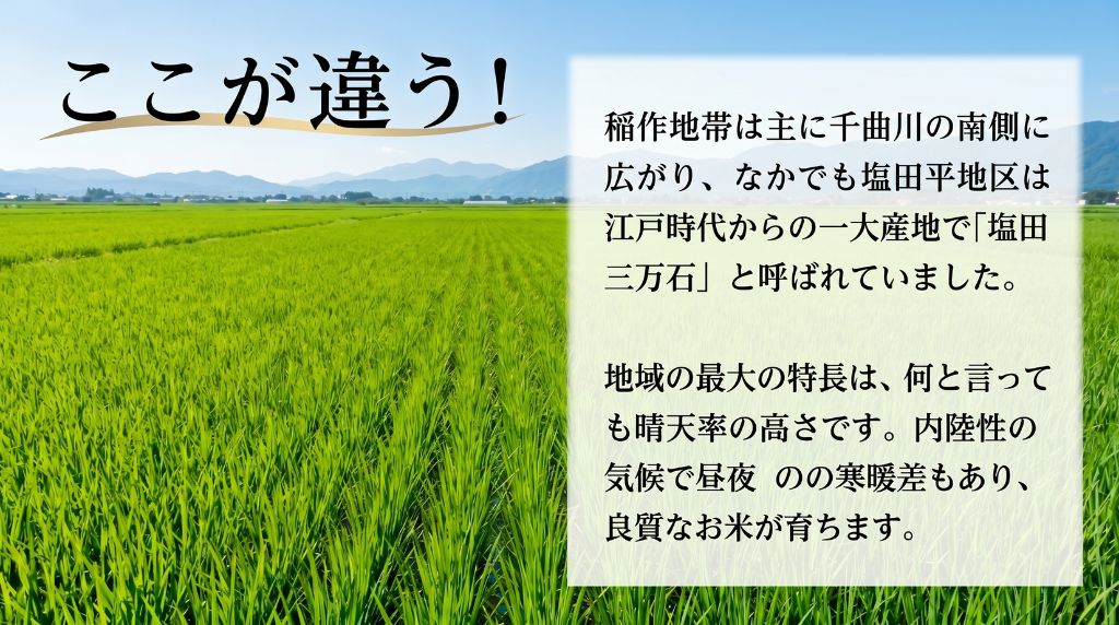 長野県上田市の【ふるさと納税】米 コシヒカリ 30kg (10kg×3袋) お米 白米 精米 単一原料米 ブランド米 銘柄米 30キロ 令和7年産 長野県産 長野 長野県 上田市　お届け：2026年9月30日までにお届け｜アングル3