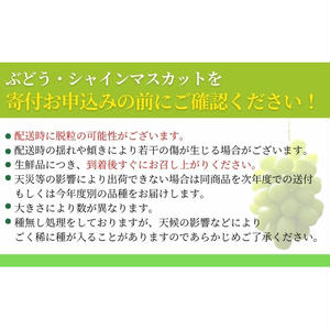 【ふるさと納税】【2026年先行予約】クリスマスにお届け！ シャインマスカット 信州上田産金剛寺ぶどう 1kg 2kg 4kg ぶどう 葡萄 ブドウ マスカット 果物 くだもの フルーツ デザート 旬の果物 旬のフルーツ 長野県 長野　お届け：2026年12月24・25日にお届け f202037-ueda-10002180 長野県上田市 サンプル画像3