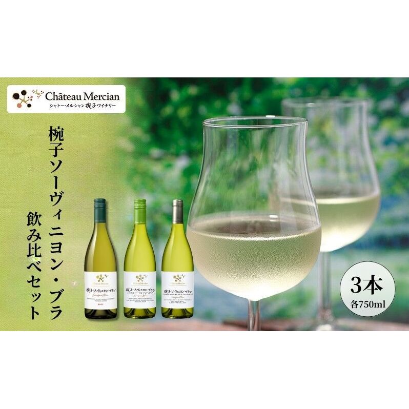 「椀子ソーヴィニヨン・ブラン」飲み比べセット ワイン 白ワイン お酒 酒 アルコール 長野 長野県 上田市