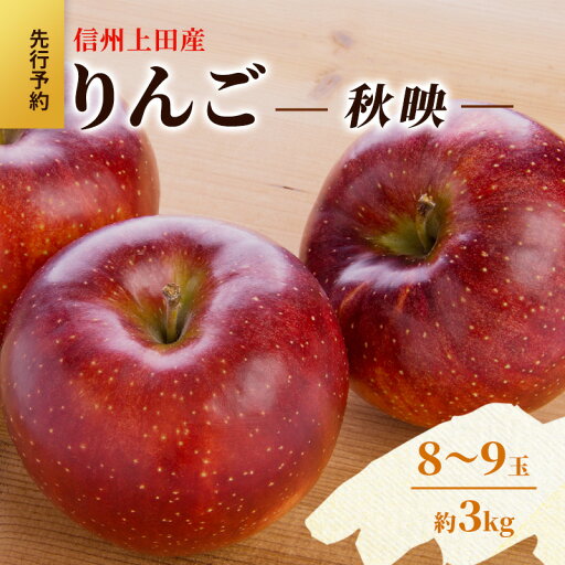 【ふるさと納税】りんご 信州上田産 秋映 家庭用 約3kg 8~9玉 リンゴ 林檎 3kg 果物 くだもの フルーツ デザート 旬の果物 旬のフルーツ 傷 長野県 長野 上田市 お届け:2025年10月中旬~下旬 【ふるさと納税】りんご 信州上田産 秋映 家庭用 約3kg 8~9玉 リンゴ 林檎 3kg 果物 くだもの フルーツ デザート 旬の果物 旬のフルーツ 傷 長野県 長野 上田市 お届け:2025年10月中旬~下旬