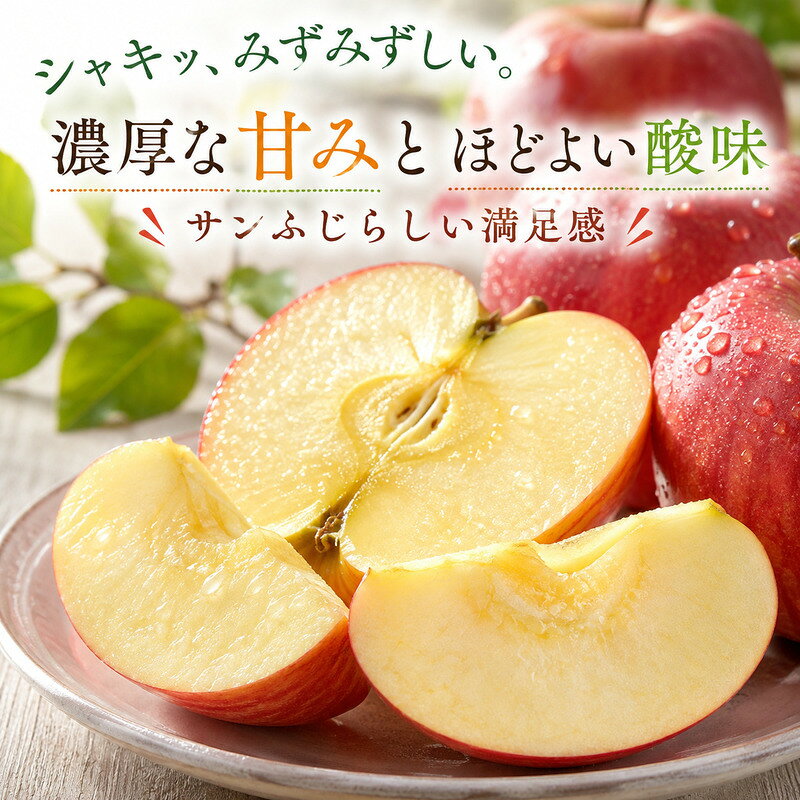 【ふるさと納税】果物 サンふじ 約3kg 8～9玉 家庭用 リンゴ 林檎 くだもの フルーツ デザート 旬の果物 旬のフルーツ 信州上田産 サンフジ 蜜たっぷり 無袋栽培 長野県 長野 上田市　お届け：12月上旬～12月中旬 f202037-ueda-10002196 長野県上田市 サンプル画像2