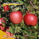 【ふるさと納税】訳あり りんご JA信州うえだ 合戦りんご サンふじ 約5kg(10玉~20玉) リンゴ 林檎 ふじ 果物 くだもの フルーツ 信州 長野 離乳食 訳アリ わけあり 傷 お届け:2025年11月下旬~12月中旬まで