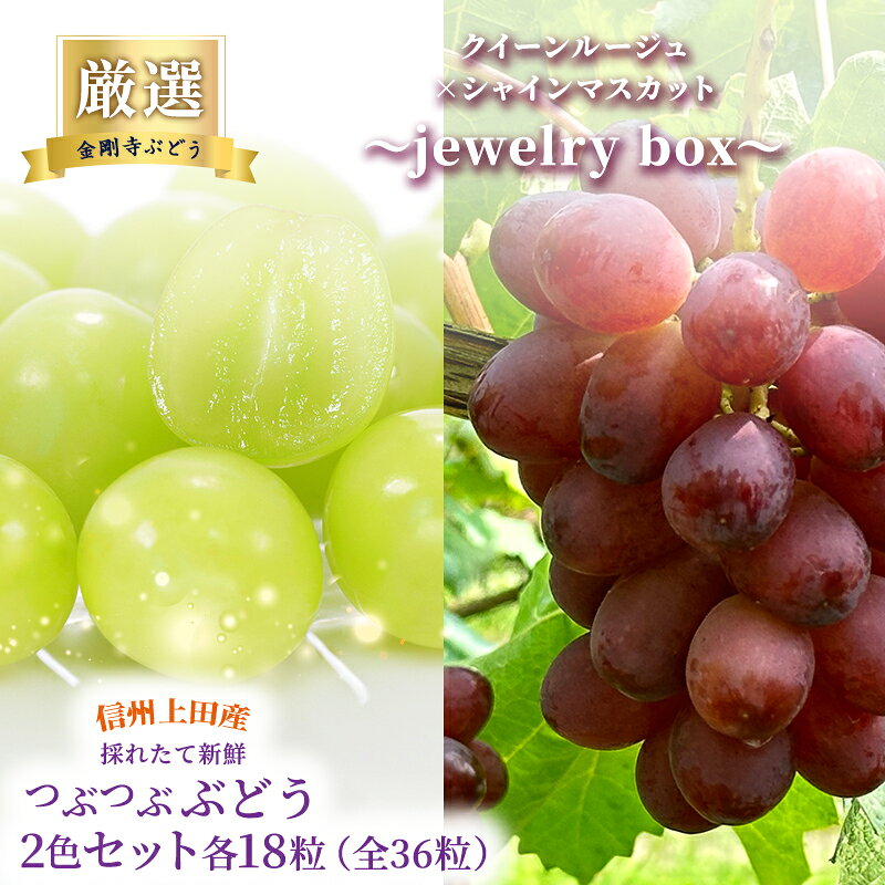 厳選！クイーンルージュ(R)×シャインマスカット jewelry box 信州上田産 金剛寺ぶどう 36粒 つぶつぶぶどう 2色 セット 詰め合わせ ぶどう マスカット フルーツ 旬の果物 長野 お届け：2026年9月下旬～10月下旬まで