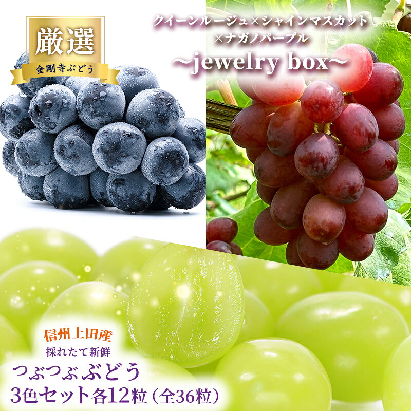 【ふるさと納税】厳選！クイーンルージュ(R)×シャインマスカット×ナガノパープル jewelry box 信州上田産 金剛寺ぶどう 36粒 つぶつぶぶどう 3色 セット 詰め合わせ ぶどう マスカット フルーツ 旬の果物 長野　お届け：2026年9月下旬～10月下旬まで