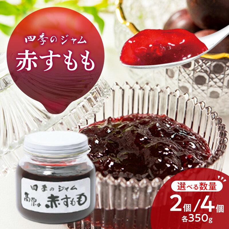 赤すもも（M） 2個/4個セット 手作り セット すもも 果物 朝食 軽食 上田市