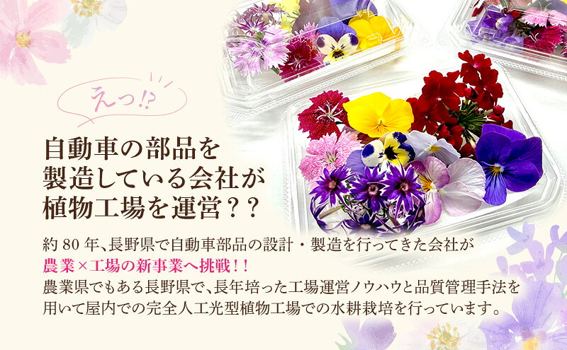 【ふるさと納税】栽培期間中無農薬で安心！屋内水耕栽培で彩り豊かなエディブルフラワーを季節を問わずお届けします！品種おまかせ　20輪相当×3パック 食用花 お花 料理 お菓子 デザート f202037-ueda-10002457 長野県上田市 サンプル画像2