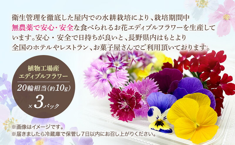 【ふるさと納税】栽培期間中無農薬で安心！屋内水耕栽培で彩り豊かなエディブルフラワーを季節を問わずお届けします！品種おまかせ　20輪相当×3パック 食用花 お花 料理 お菓子 デザート f202037-ueda-10002457 長野県上田市 サンプル画像3