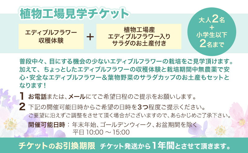【ふるさと納税】チケット 自動車部品メーカーが作った植物工場 大人2名 小学生以下2名まで エディブルフラワーの収穫体験付き工場見学 栽培期間中無農薬で育てたリーフサラダカップのお土産付き 食用花 長野県上田市 f202037-ueda-10002464 長野県上田市 サンプル画像3