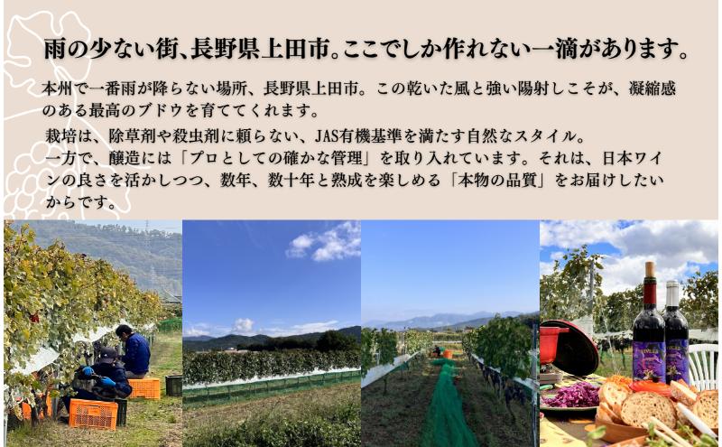 【ふるさと納税】Koaso Refined Mellowness 2023 ワイン 日本ワイン 赤ワイン 赤 上田市 f202037-ueda-10002397 長野県上田市 サンプル画像2