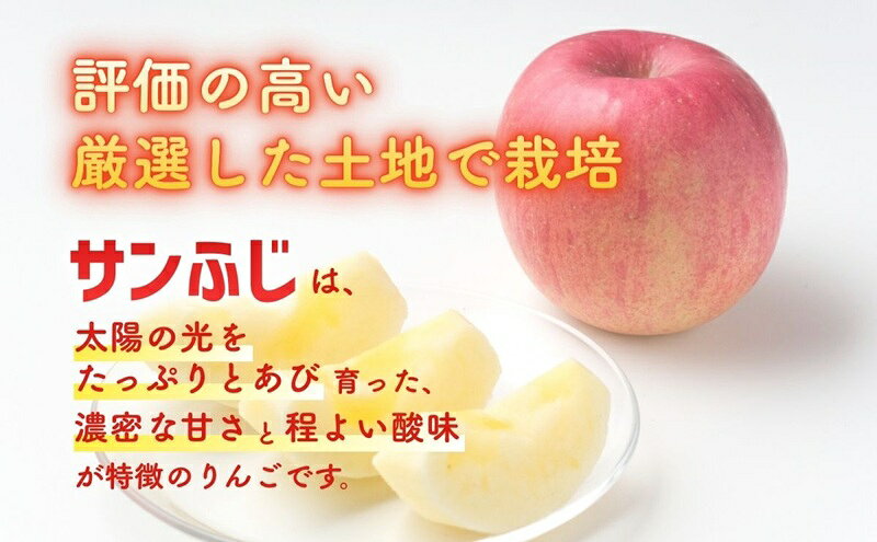【ふるさと納税】りんご サンふじ 3kg 贈答用 信州 フルーツ 果物　サンふじりんご 林檎 リンゴ サンふじ くだもの 旬の果物 旬のフルーツ 信州産 長野県産 長野 長野県 上田市　お届け：2026年11月下旬～12月上旬まで f202037-ueda-10002378 長野県上田市 サンプル画像2