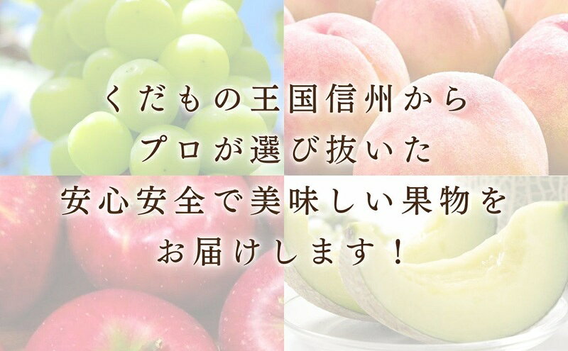 【ふるさと納税】りんご サンふじ 3kg 贈答用 信州 フルーツ 果物　サンふじりんご 林檎 リンゴ サンふじ くだもの 旬の果物 旬のフルーツ 信州産 長野県産 長野 長野県 上田市　お届け：2026年11月下旬～12月上旬まで f202037-ueda-10002378 長野県上田市 サンプル画像3
