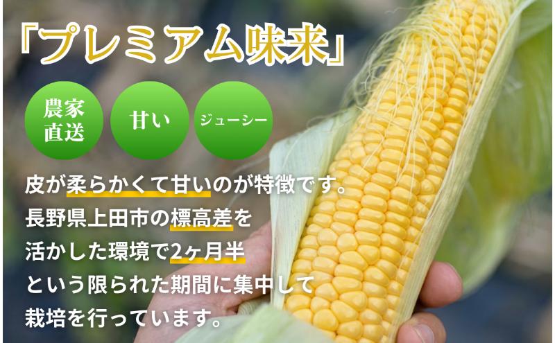 【ふるさと納税】【先行予約】とうもろこし プレミアム味来 みどりの大地 5kg（8～12本入り） 茹でとうもろこし スイートコーン ミラクルコーン 甘いコーン 野菜 長野県 信州 上田　お届け：2026年7月下旬～9月下旬まで