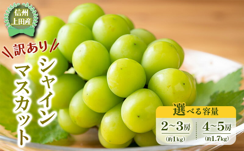 【ふるさと納税】【2026年産】 訳ありシャインマスカット1kg ぶどう 葡萄 ブドウ マスカット 果物 くだもの フルーツ デザート 旬の果物 旬のフルーツ 長野　お届け：2026年9月中旬～10月下旬