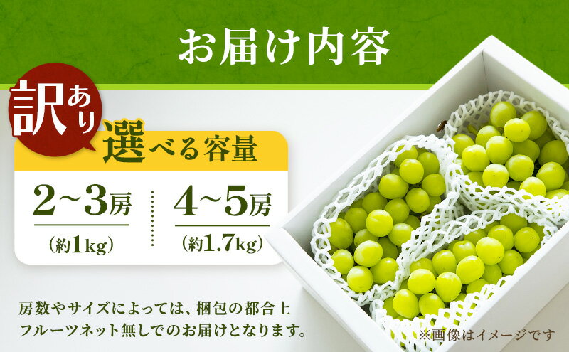【ふるさと納税】【2026年産】 訳ありシャインマスカット1kg ぶどう 葡萄 ブドウ マスカット 果物 くだもの フルーツ デザート 旬の果物 旬のフルーツ 長野　お届け：2026年9月中旬～10月下旬