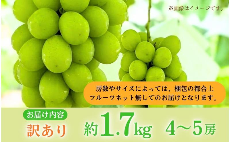 【ふるさと納税】【2026年産】 訳ありシャインマスカット1.7kg ぶどう 葡萄 ブドウ マスカット 果物 くだもの フルーツ デザート 旬の果物 旬のフルーツ 長野　お届け：2026年9月中旬～10月下旬