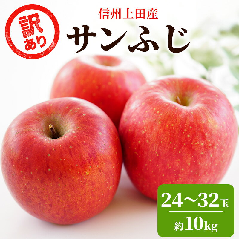 りんご 訳あり 信州上田産 サンふじ 家庭用 約10kg 24～32玉 リンゴ 林檎 10kg サンフジ 果物 くだもの フルーツ デザート 旬の果物 旬のフルーツ 傷 長野県 長野 上田市 お届け：2026年12月上旬～12月中旬まで