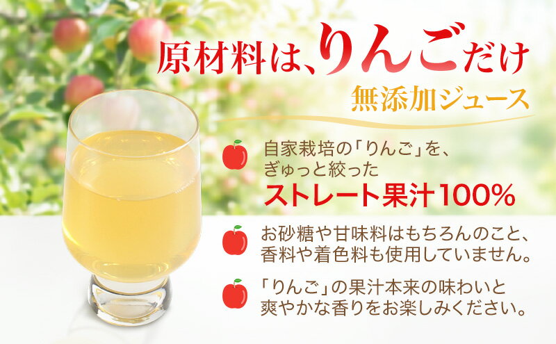 【ふるさと納税】果汁100％りんごジュース 1L×12本 サンふじ ジュース ドリンク 信州 長野