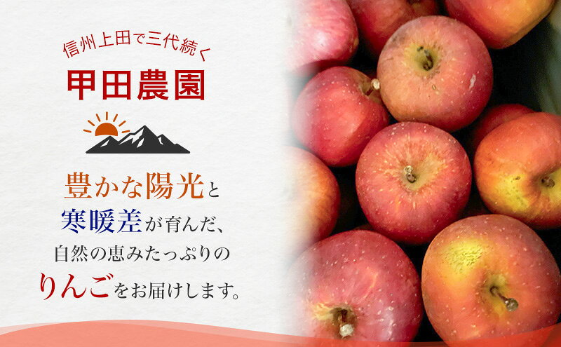 【ふるさと納税】【先行予約】【訳あり・家庭用】長野県産 サンふじ 約5kg りんご リンゴ 不揃い 味は問題なし 家庭用 季節のフルーツ 果物 長野県 信州　お届け：2026年12月中旬～2027年1月中旬まで